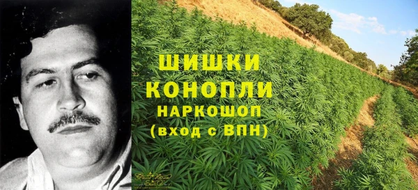 ECSTASY Балахна